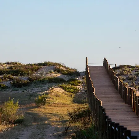 Pine Garden Apartamento *