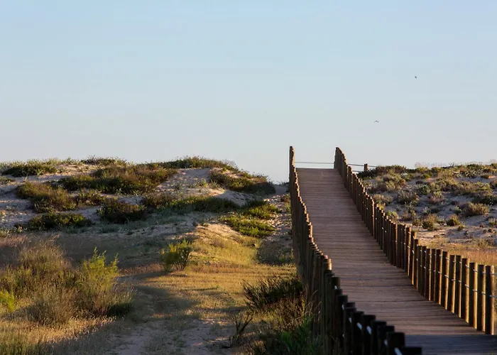 Pine Garden Appartamento *